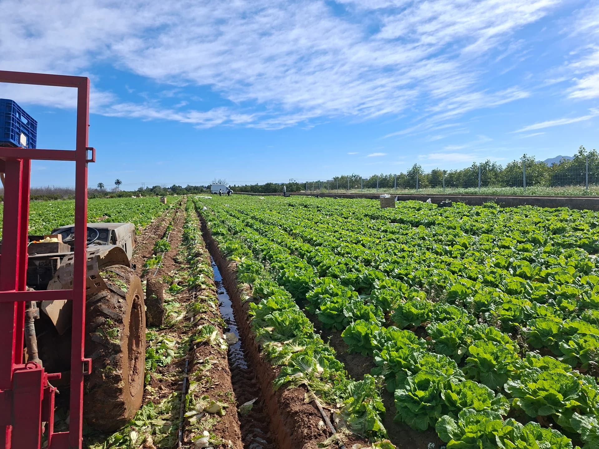 Del Campo a Tu Mesa - 3ª Generación de Agricultores