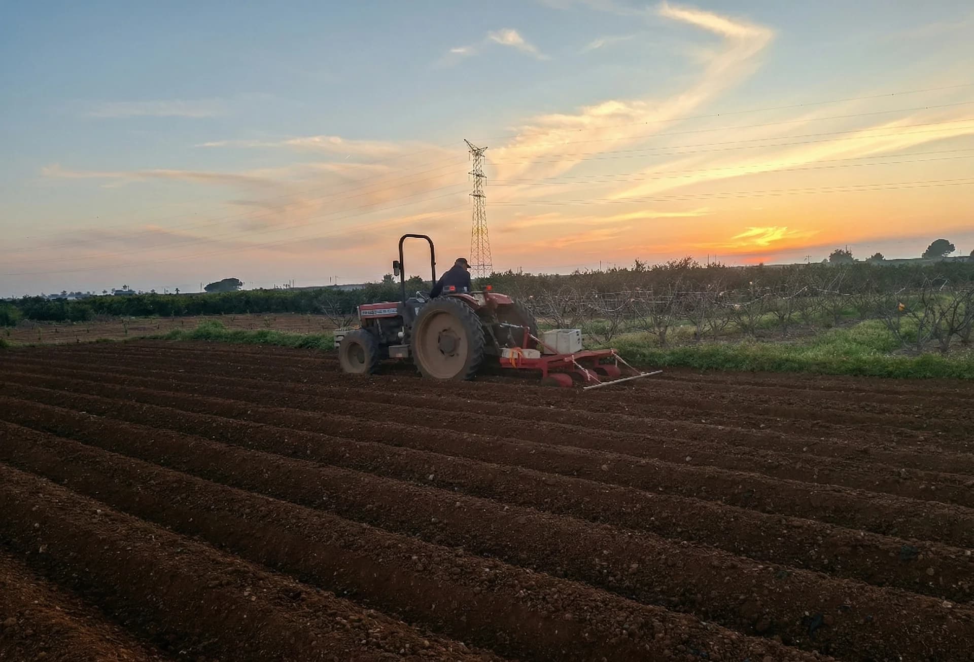 Campos de la huerta valenciana